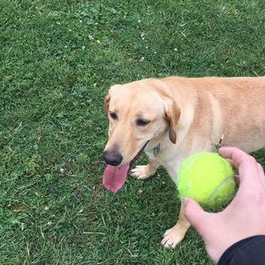 Meet your Posher, Kaiya